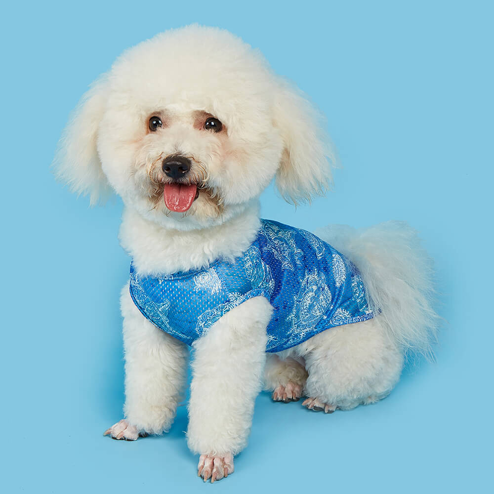 Veste pour Animaux Imprimé Ripple Hippocampe Sensation Fraîche – Image 5
