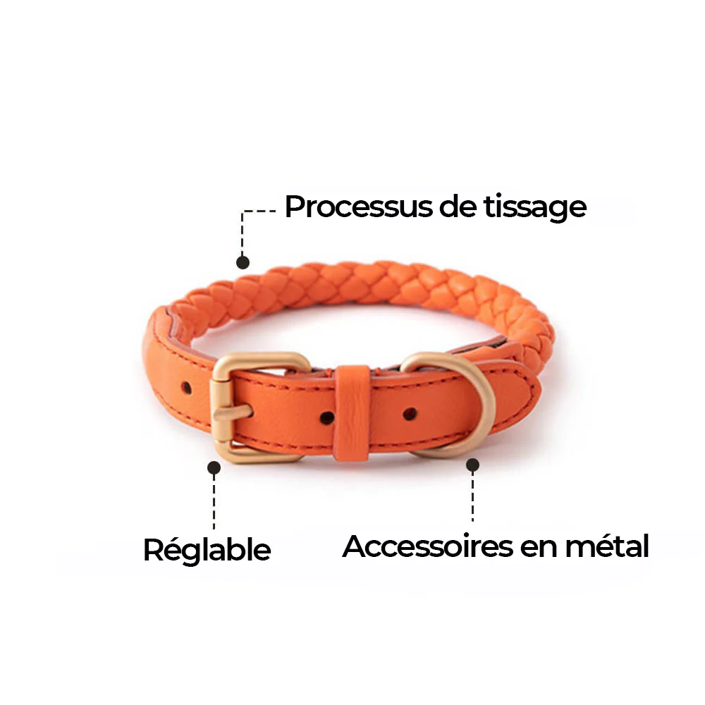 Ensemble Collier et Laisse pour Chiot en Similicuir Tressé à la Main – Image 3