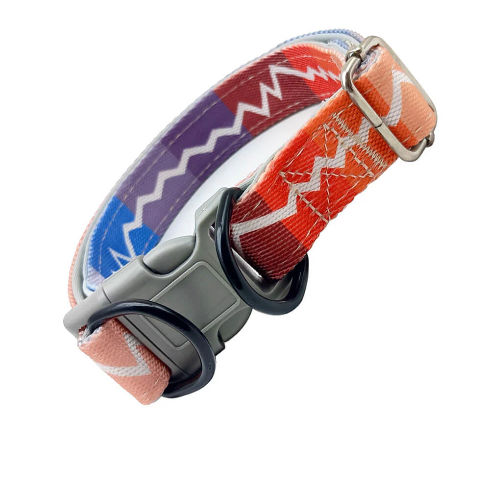 Collier et laisse pour grand chien coloré à haute élasticité – Image 3