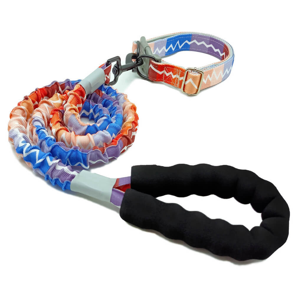 Collier et laisse pour grand chien coloré à haute élasticité – Image 5