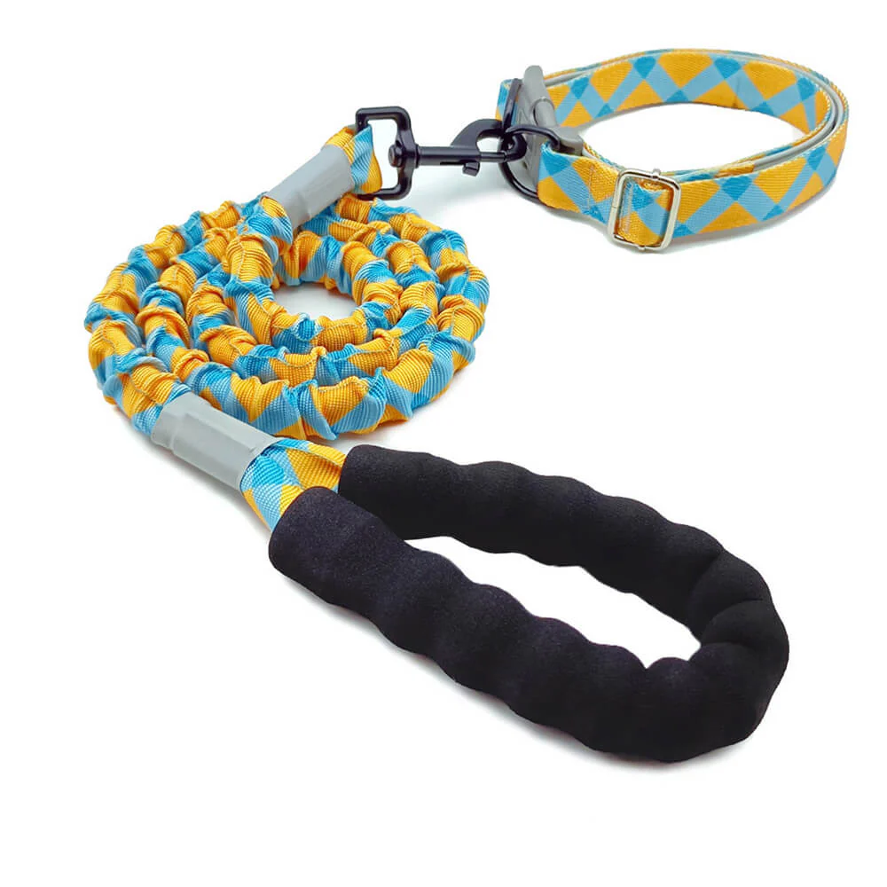 Collier et laisse pour grand chien coloré à haute élasticité – Image 6