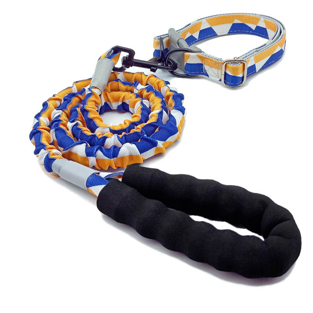 Collier et laisse pour grand chien coloré à haute élasticité – Image 8