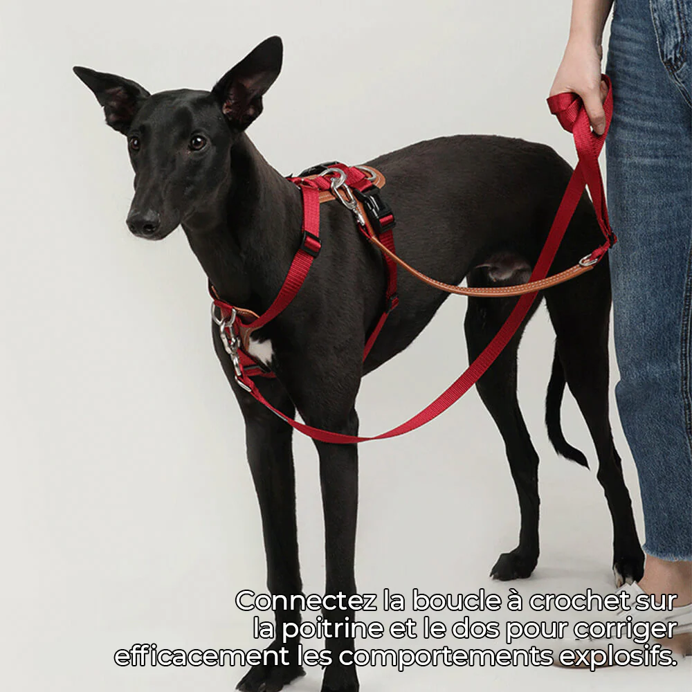 Set Harnais Anti-Traction Multifonction Sans Mains avec Sac de Rangement – Image 6