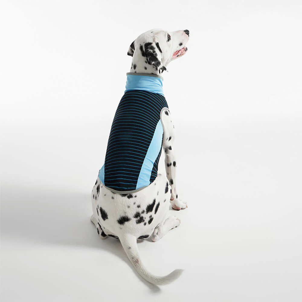 Gilet Refroidissant Stripe en Soie Glacée Coloré pour Chien – Image 4