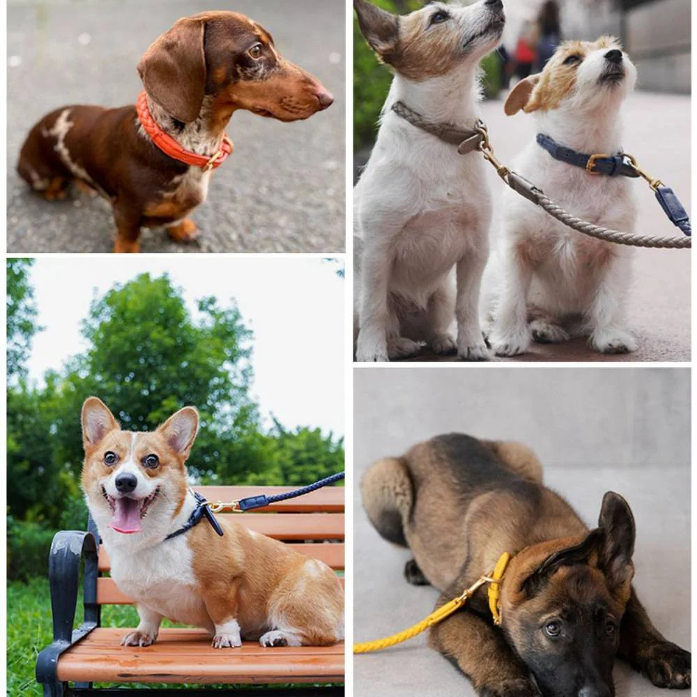 Ensemble Collier et Laisse pour Chiot en Similicuir Tressé à la Main – Image 6
