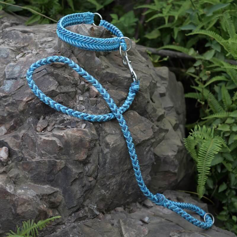 Collier et Laisse Lumineux Grand Chien Faits Main Anti-Traction – Image 5