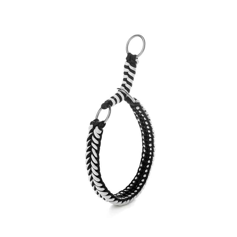 Collier et Laisse Lumineux Grand Chien Faits Main Anti-Traction – Image 9