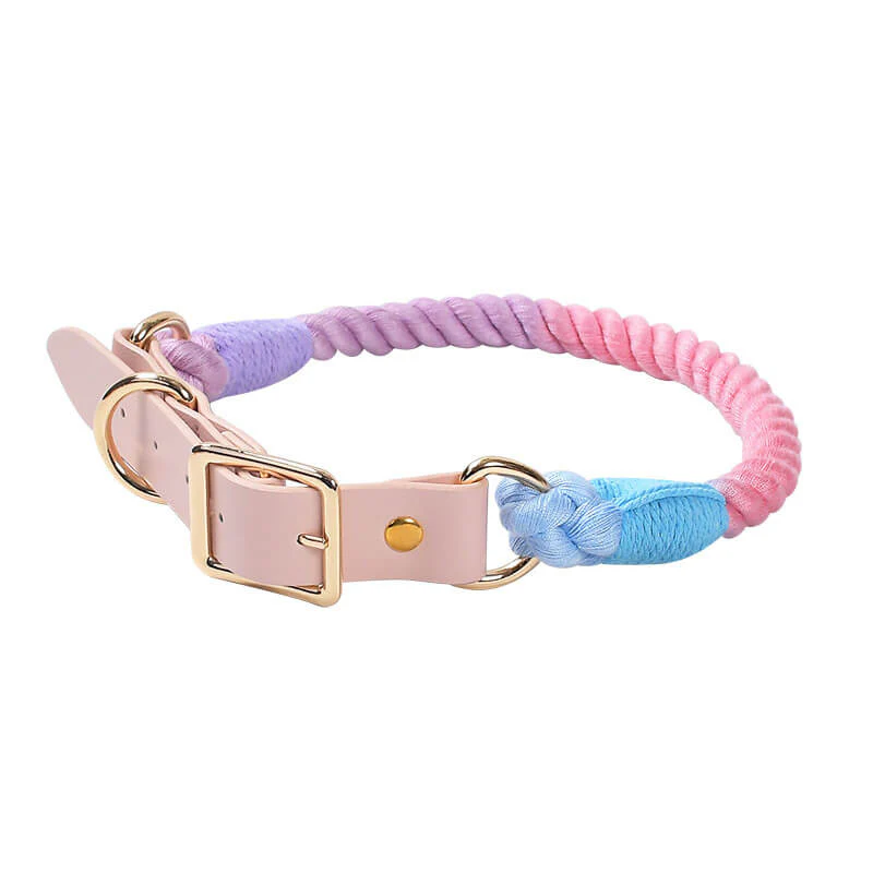 Collier Et Laisse En Cuir Tressé Mode Sans Traction – Image 8