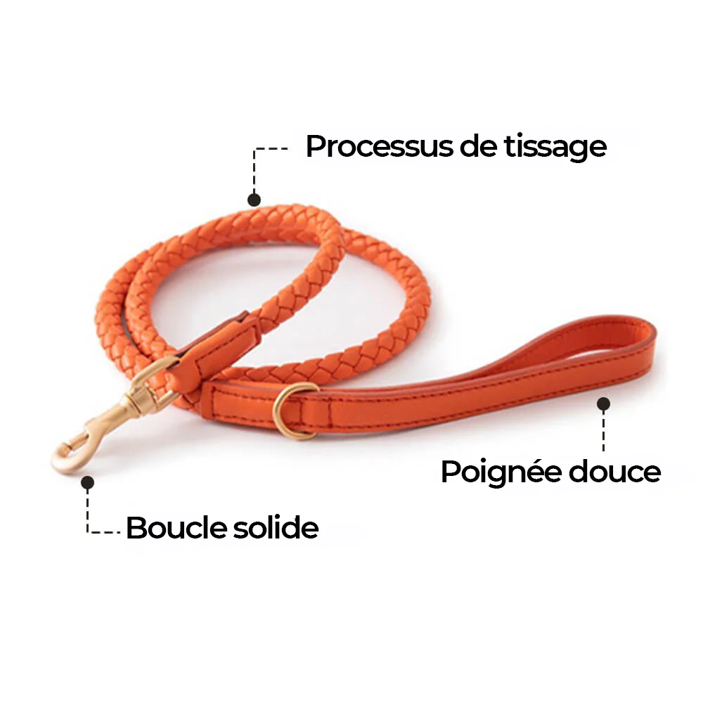 Ensemble Collier et Laisse pour Chiot en Similicuir Tressé à la Main – Image 4