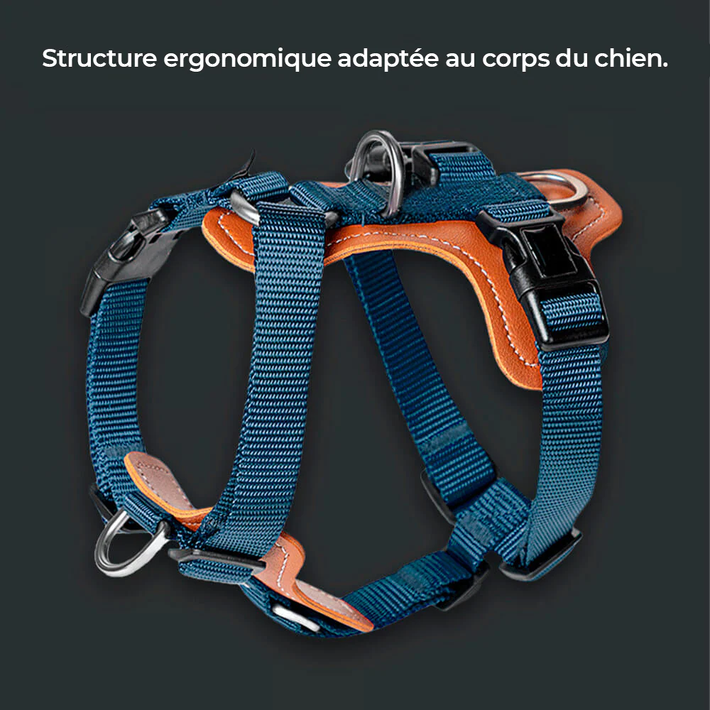 Set Harnais Anti-Traction Multifonction Sans Mains avec Sac de Rangement – Image 3