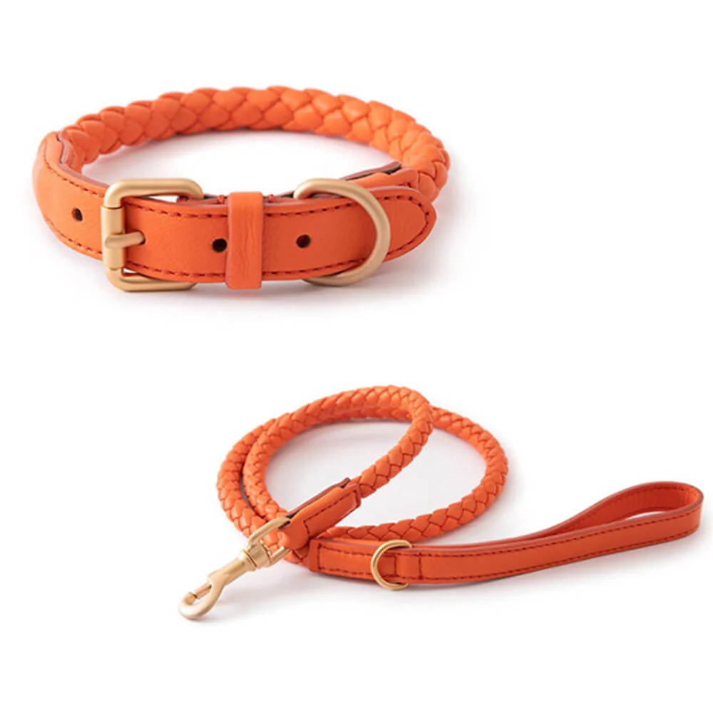 Ensemble Collier et Laisse pour Chiot en Similicuir Tressé à la Main – Image 7