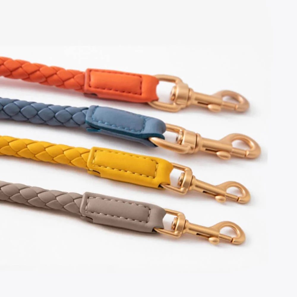 Ensemble Collier et Laisse pour Chiot en Similicuir Tressé à la Main – Image 5