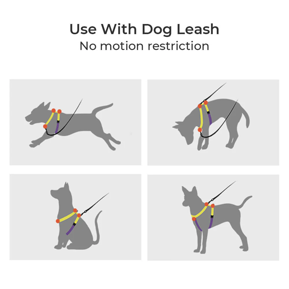 Harnais pour Chien Réglable Double-Face Multifonction – Image 9