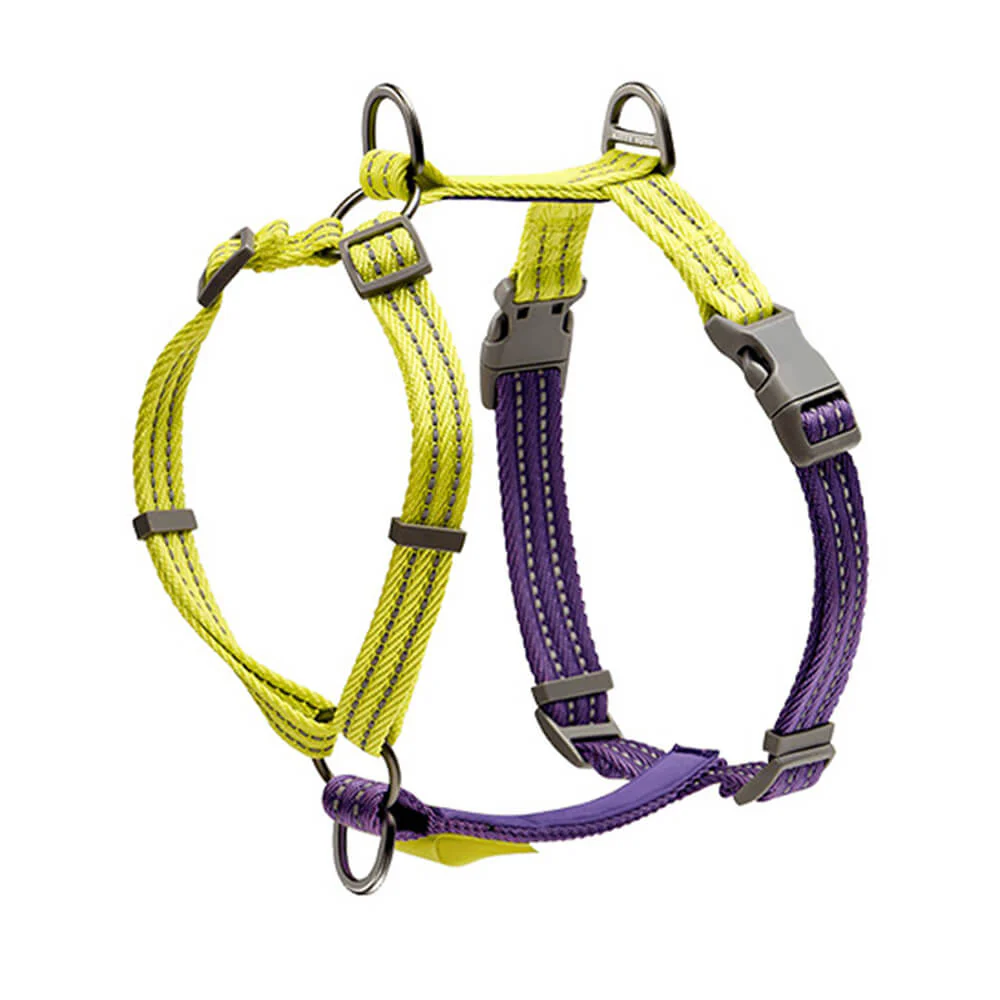 Harnais pour Chien Réglable Double-Face Multifonction – Image 4